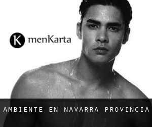 Ambiente en Navarra (Provincia) Ambiente en Navarra (Provincia)