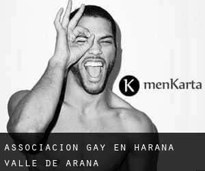 Associacion Gay en Harana / Valle de Arana