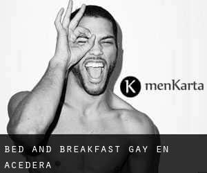 Bed and Breakfast Gay en Acedera
