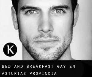 Bed and Breakfast Gay en Asturias (Provincia)