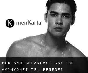 Bed and Breakfast Gay en Avinyonet del Penedès