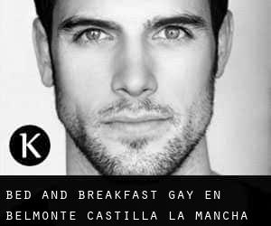 Bed and Breakfast Gay en Belmonte (Castilla-La Mancha)