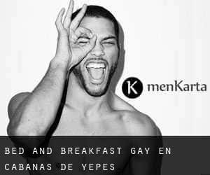 Bed and Breakfast Gay en Cabañas de Yepes