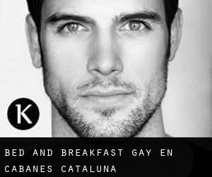 Bed and Breakfast Gay en Cabanes (Cataluña)