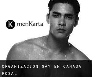 Organización Gay en Cañada Rosal