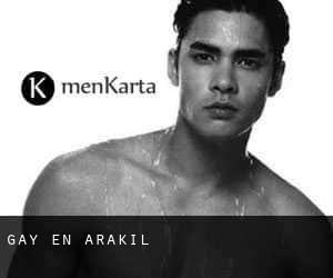 Gay en Arakil