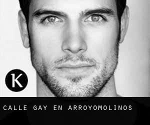 Calle Gay en Arroyomolinos