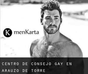 Centro de Consejo Gay en Arauzo de Torre