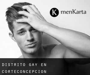 Distrito Gay en Corteconcepción
