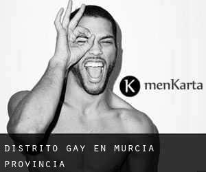 Distrito Gay en Murcia (Provincia)