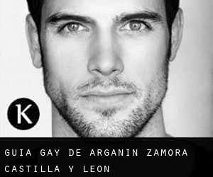 guía gay de Argañín (Zamora, Castilla y León)