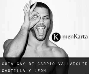 guía gay de Carpio (Valladolid, Castilla y León)