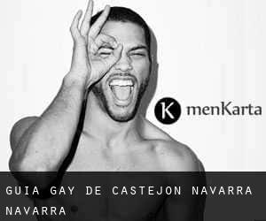 guía gay de Castejón (Navarra, Navarra)