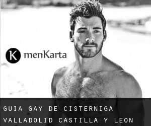guía gay de Cistérniga (Valladolid, Castilla y León)