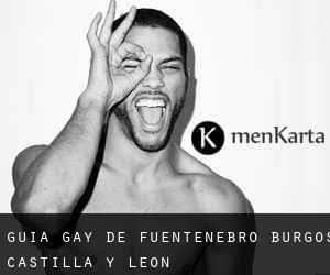 guía gay de Fuentenebro (Burgos, Castilla y León)