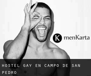 Hostel Gay en Campo de San Pedro