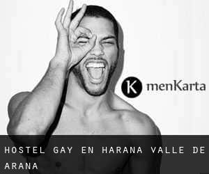 Hostel Gay en Harana / Valle de Arana
