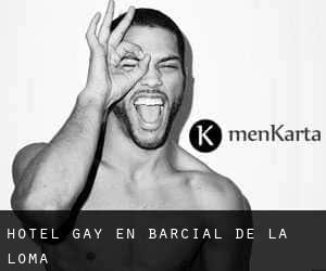 Hotel Gay en Barcial de la Loma