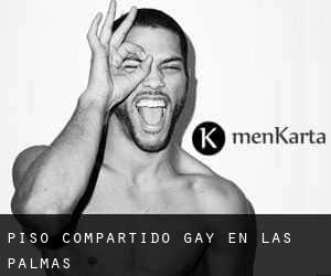 Piso Compartido Gay en Las Palmas