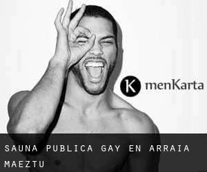 Sauna Pública Gay en Arraia-Maeztu