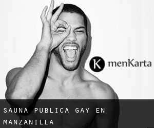 Sauna Pública Gay en Manzanilla