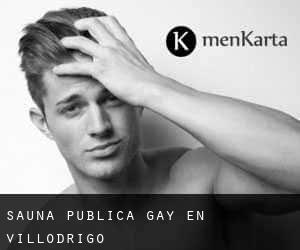Sauna Pública Gay en Villodrigo Sauna Pública Gay en Villodrigo